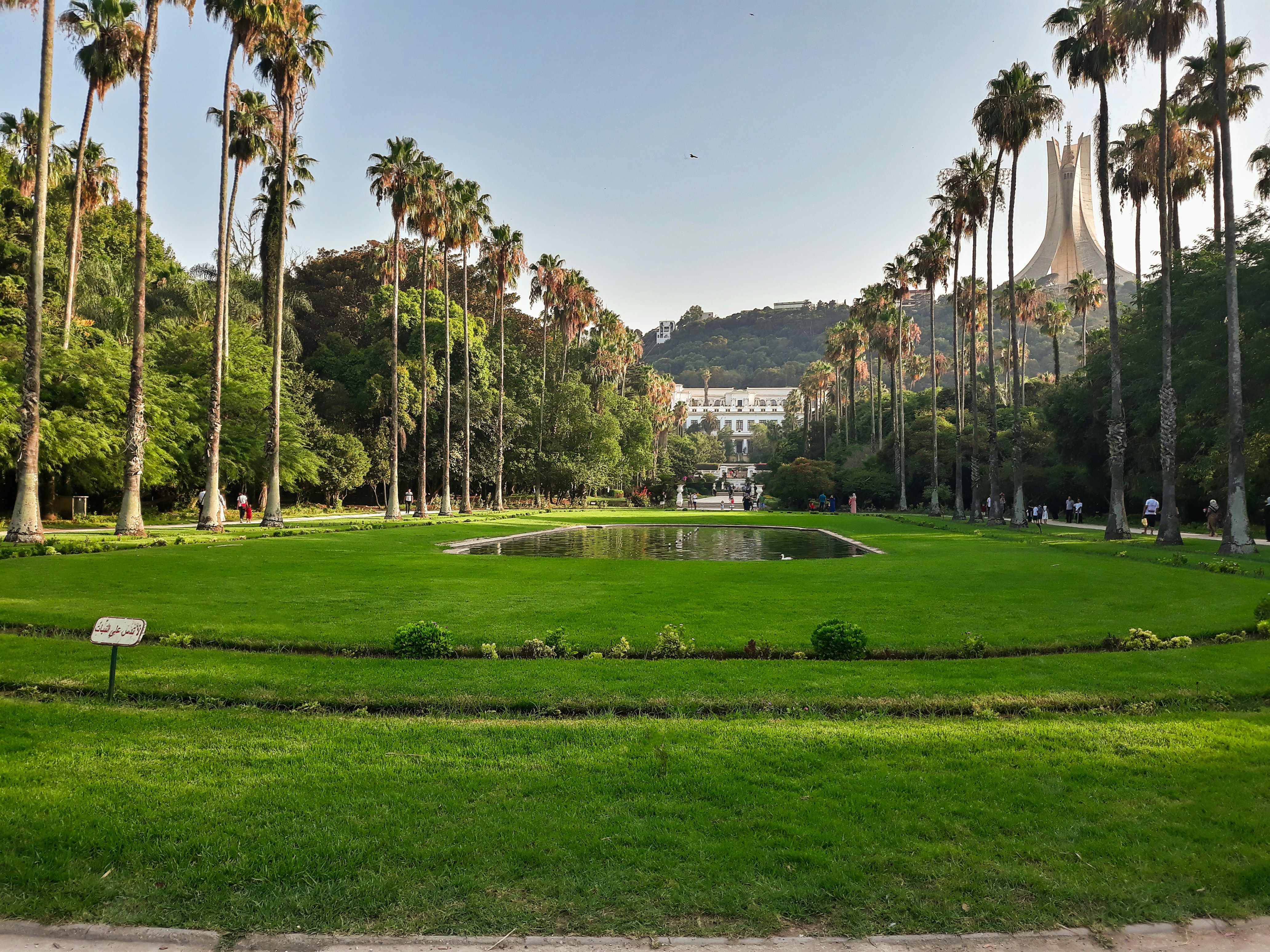 Palm trees and landscaped gardens in Algiers.