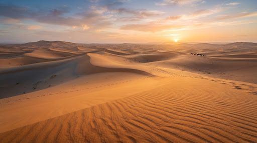 Oasis Knowledge and Everyday Heritage