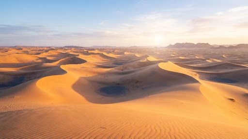 7 Days in the Sahara