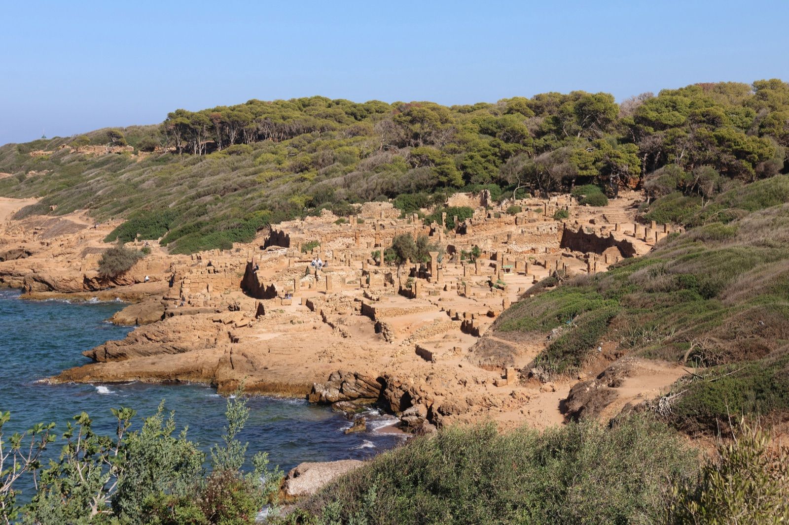Oran Coast & Culture